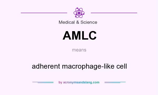 What does AMLC mean? It stands for adherent macrophage-like cell