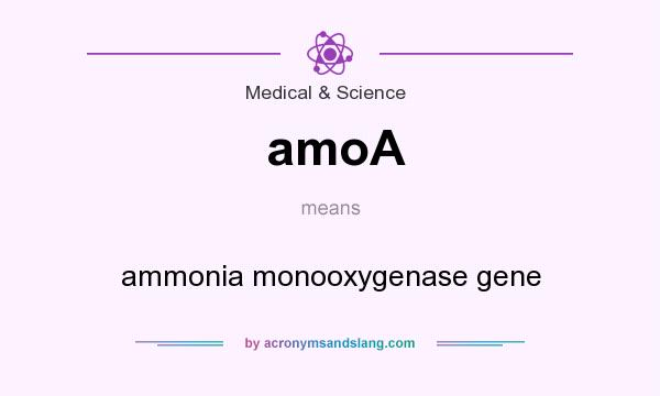 What does amoA mean? It stands for ammonia monooxygenase gene