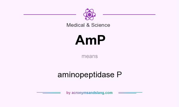 What does AmP mean? It stands for aminopeptidase P
