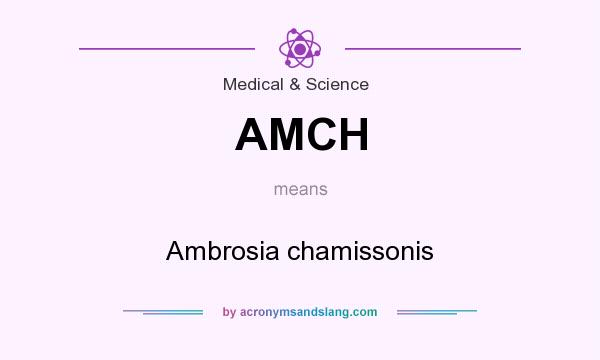 What does AMCH mean? It stands for Ambrosia chamissonis