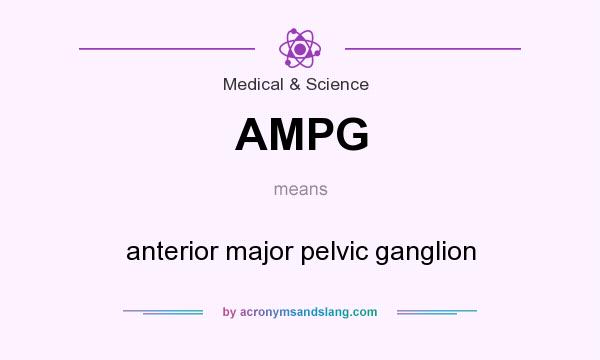 What does AMPG mean? It stands for anterior major pelvic ganglion