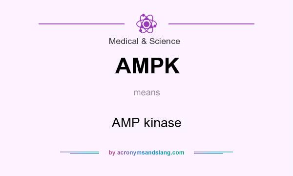 What does AMPK mean? It stands for AMP kinase