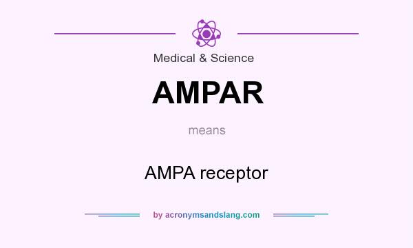 What does AMPAR mean? It stands for AMPA receptor