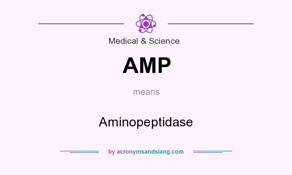 What does AMP mean? It stands for Aminopeptidase