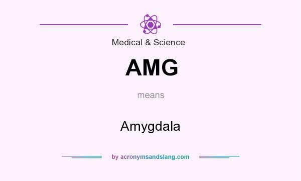 What does AMG mean? It stands for Amygdala