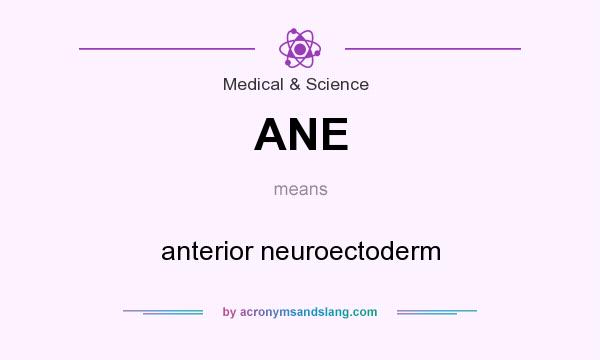 What does ANE mean? It stands for anterior neuroectoderm
