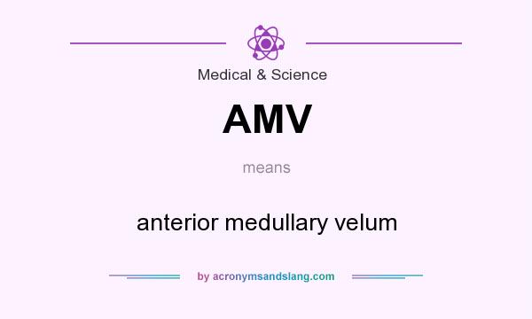 What does AMV mean? It stands for anterior medullary velum