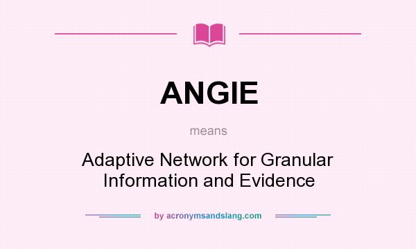 What does ANGIE mean? It stands for Adaptive Network for Granular Information and Evidence