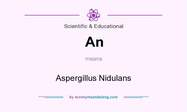 What does An mean? It stands for Aspergillus Nidulans