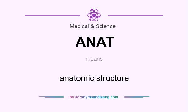What does ANAT mean? It stands for anatomic structure