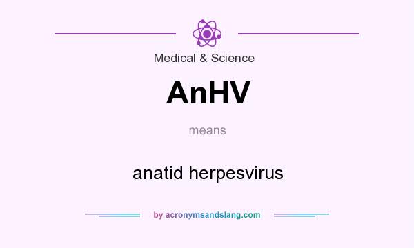 What does AnHV mean? It stands for anatid herpesvirus