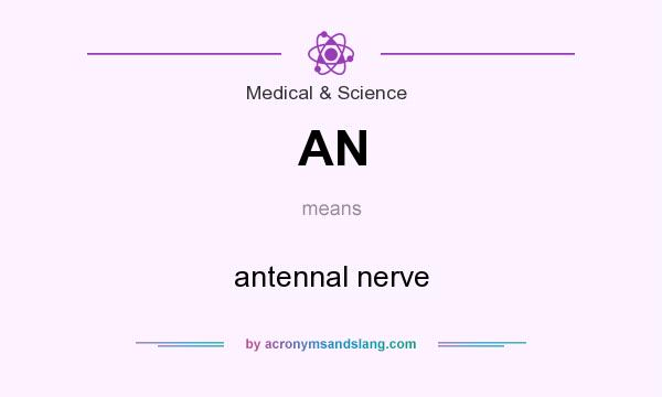 What does AN mean? It stands for antennal nerve