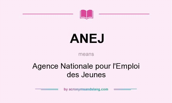 What does ANEJ mean? It stands for Agence Nationale pour l`Emploi des Jeunes