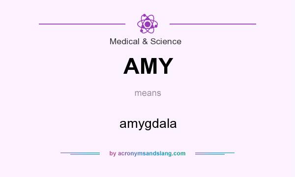 What does AMY mean? It stands for amygdala