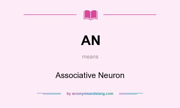 What does AN mean? It stands for Associative Neuron