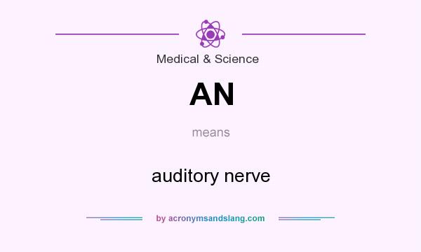 What does AN mean? It stands for auditory nerve