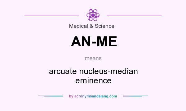 What does AN-ME mean? It stands for arcuate nucleus-median eminence