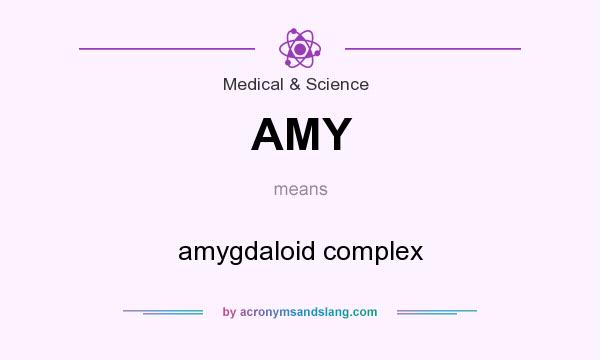 What does AMY mean? It stands for amygdaloid complex