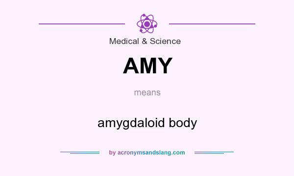 What does AMY mean? It stands for amygdaloid body