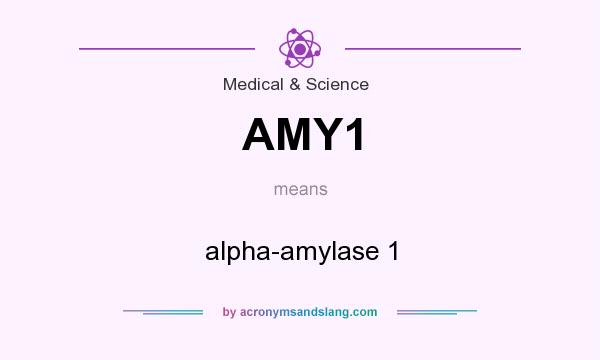 What does AMY1 mean? It stands for alpha-amylase 1