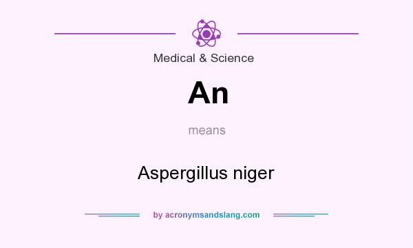 What does An mean? It stands for Aspergillus niger