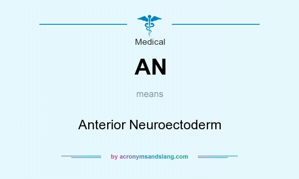 What does AN mean? It stands for Anterior Neuroectoderm