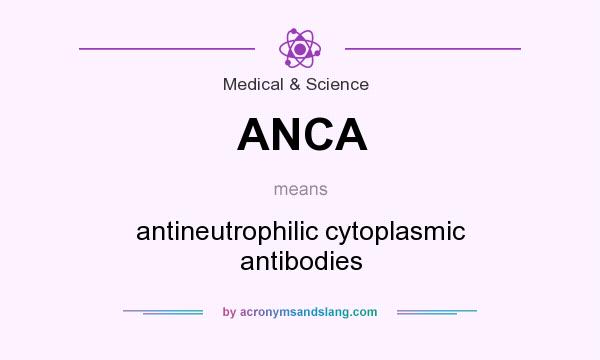 What does ANCA mean? It stands for antineutrophilic cytoplasmic antibodies