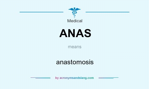 What does ANAS mean? It stands for anastomosis