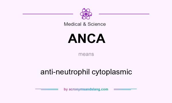 What does ANCA mean? It stands for anti-neutrophil cytoplasmic