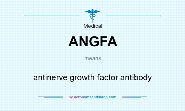 What does ANGFA mean? It stands for antinerve growth factor antibody