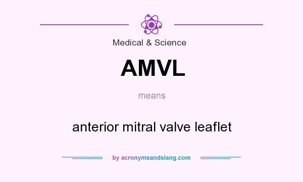 What does AMVL mean? It stands for anterior mitral valve leaflet