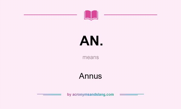 What does AN. mean? It stands for Annus