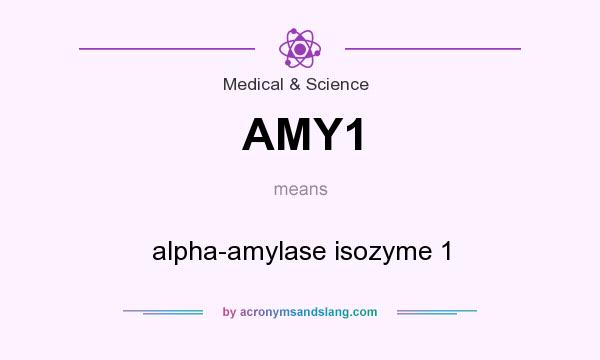 What does AMY1 mean? It stands for alpha-amylase isozyme 1
