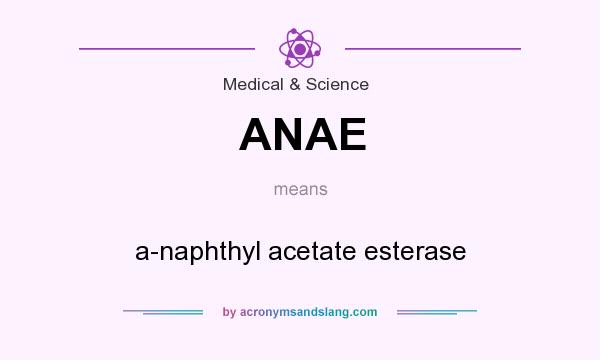 What does ANAE mean? It stands for a-naphthyl acetate esterase