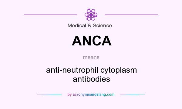 What does ANCA mean? It stands for anti-neutrophil cytoplasm antibodies
