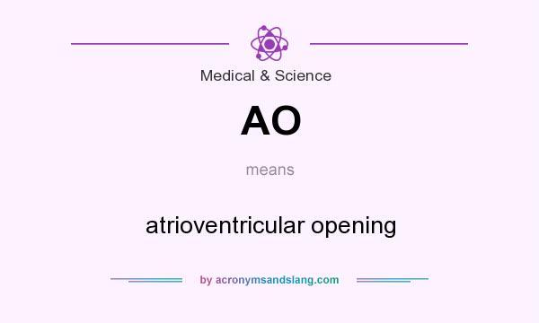 What does AO mean? It stands for atrioventricular opening