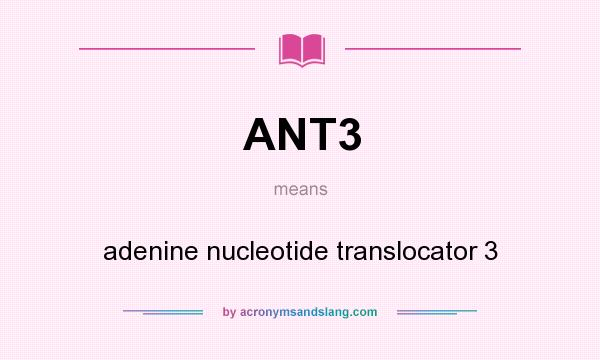 What does ANT3 mean? It stands for adenine nucleotide translocator 3
