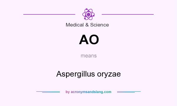 What does AO mean? It stands for Aspergillus oryzae
