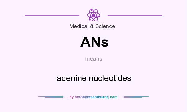 What does ANs mean? It stands for adenine nucleotides
