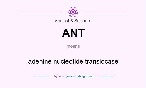 What does ANT mean? It stands for adenine nucleotide translocase