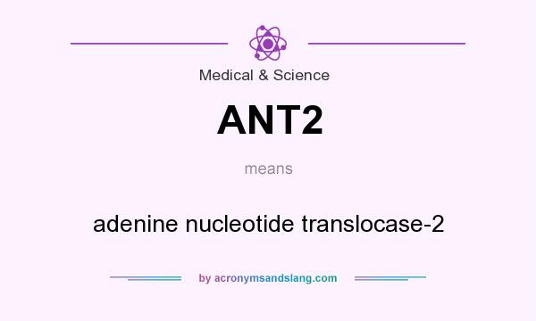 What does ANT2 mean? It stands for adenine nucleotide translocase-2