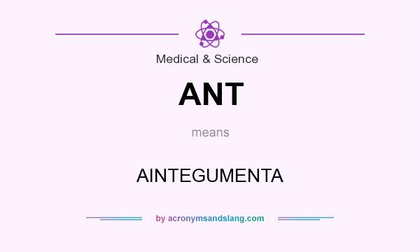 What does ANT mean? It stands for AINTEGUMENTA
