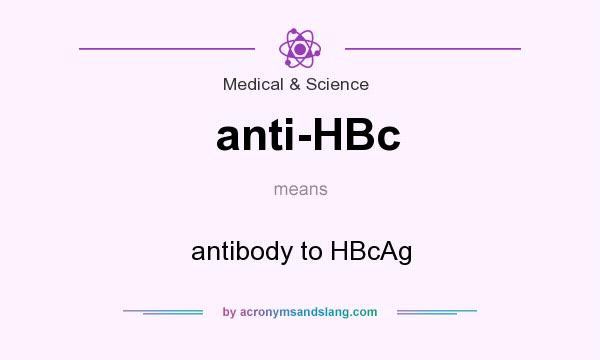 What does anti-HBc mean? It stands for antibody to HBcAg