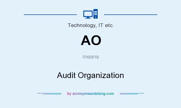 What does AO mean? It stands for Audit Organization