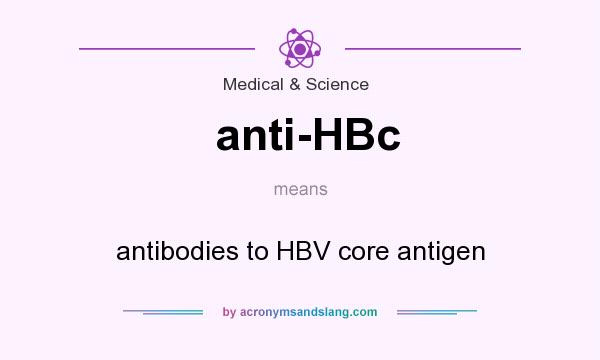 What does anti-HBc mean? It stands for antibodies to HBV core antigen