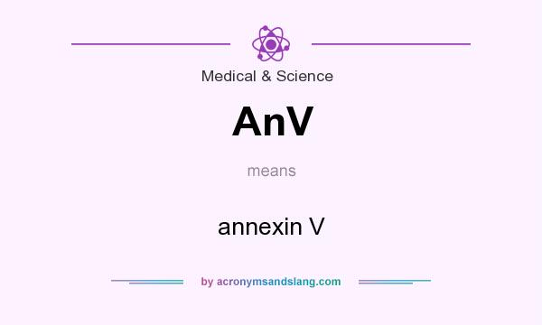 What does AnV mean? It stands for annexin V