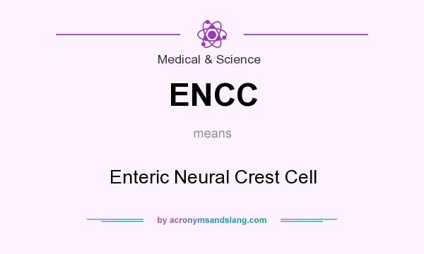What does ENCC mean? It stands for Enteric Neural Crest Cell