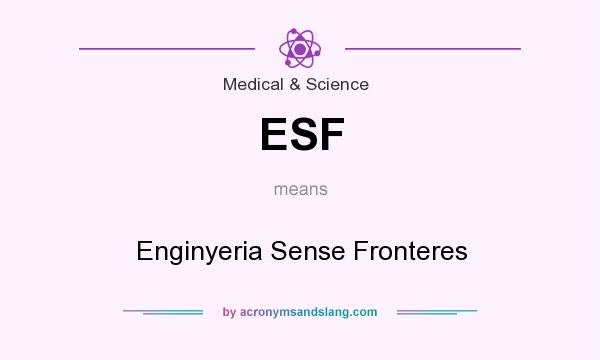 What does ESF mean? It stands for Enginyeria Sense Fronteres
