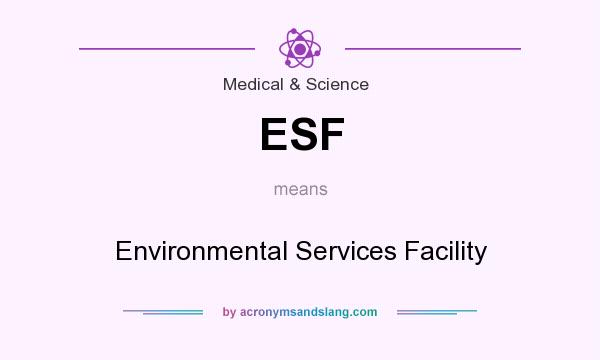 What does ESF mean? It stands for Environmental Services Facility