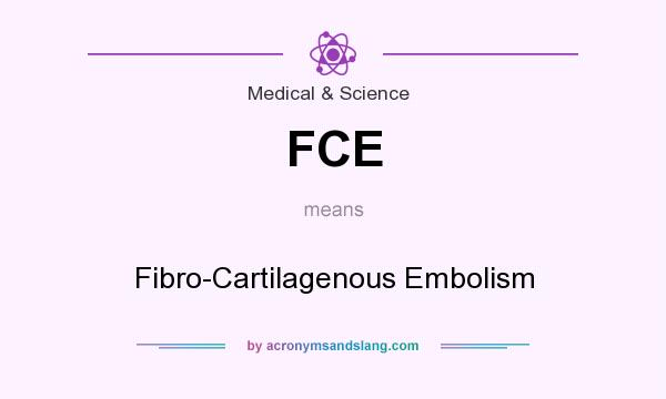 What does FCE mean? It stands for Fibro-Cartilagenous Embolism